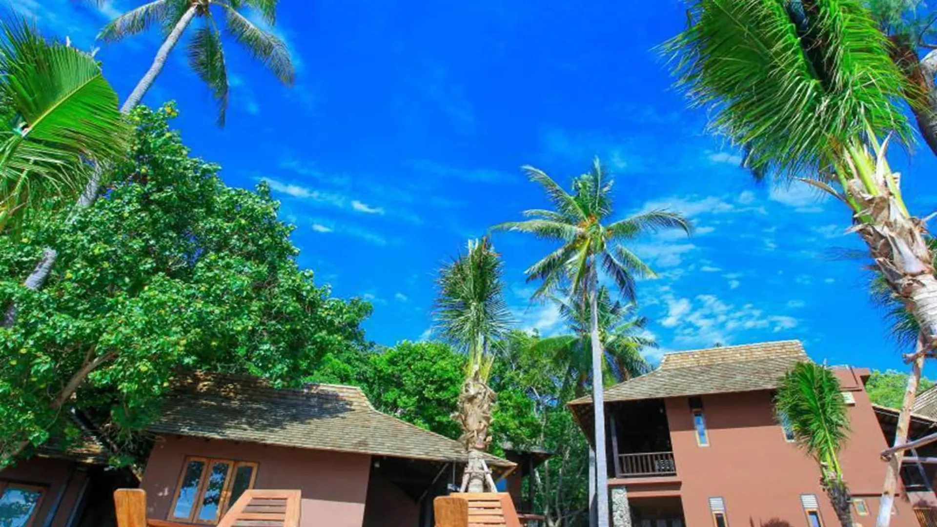 Koh Tao Beach Club Hotel